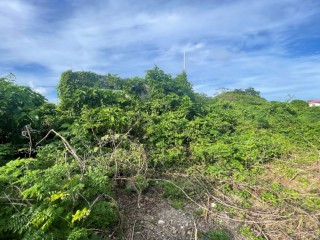 Residential lot For Sale in Galina, St. Mary, Jamaica