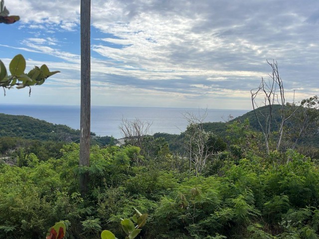 Residential lot For Sale - Spring Garden, St. Thomas, Jamaica