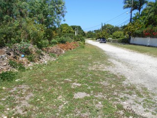 Land For Sale in Cardiff Hall, Runaway Bay, St. Ann Jamaica | [9]