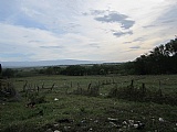 Commercial/farm land For Sale in Braes River, St. Elizabeth Jamaica | [10]