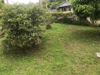 House For Sale in Higates, St. Mary Jamaica | [1]