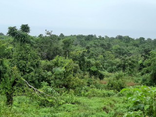 Residential lot For Sale in Mango Valley, St. Mary Jamaica | [1]