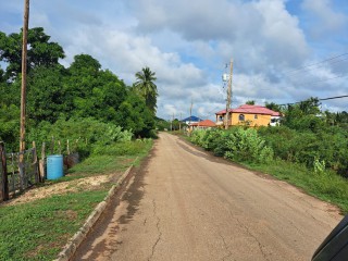 Land For Sale - New Bowens, Clarendon, Jamaica