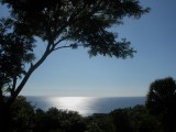 Residential lot For Sale in Tropical Sunshine Properties, Westmoreland Jamaica | [10]