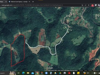 Commercial/farm land For Sale in Retreat Pen Browns Town, St. Ann Jamaica | [3]