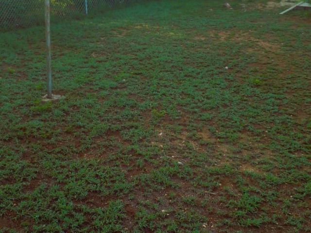House For Rent in Martha Brae, Trelawny Jamaica | [3]