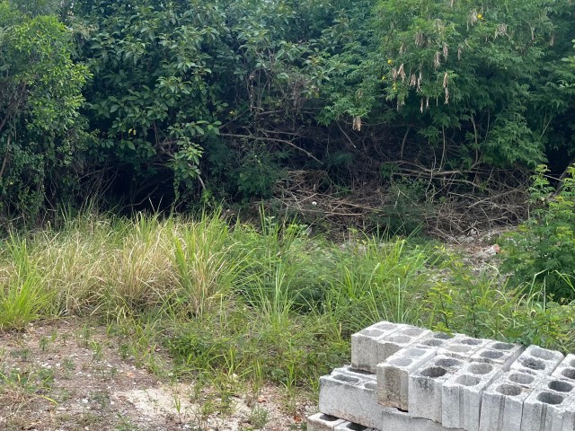 Land For Sale in Bull Savannah, St. Elizabeth Jamaica | [3]