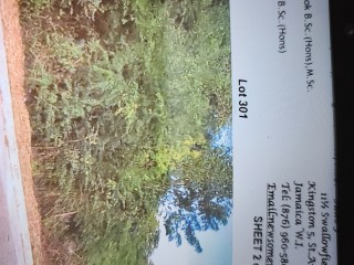 Residential lot For Sale – Palm brook Estate, St. Elizabeth, Jamaica