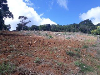 Land For Sale in Christiana, Manchester, Jamaica