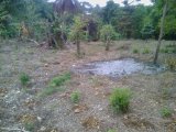 Residential lot For Sale in Springfield main road, Westmoreland Jamaica | [2]