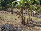 Residential lot For Sale in Ocho Rios, St. Ann Jamaica | [1]