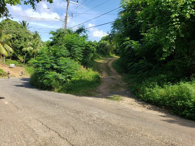 House For Sale in Cocoa Walk, St. Catherine Jamaica | [4]