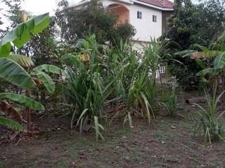House For Sale in Palmers Cross, Clarendon Jamaica | [7]