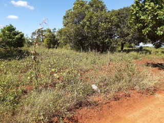 Residential lot For Sale in Nain, St. Elizabeth Jamaica | [1]