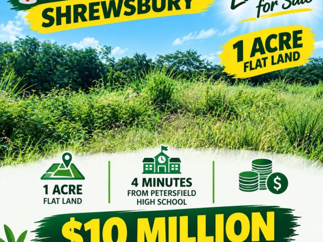 Land For Sale in jamaica, St. James Jamaica | [7]