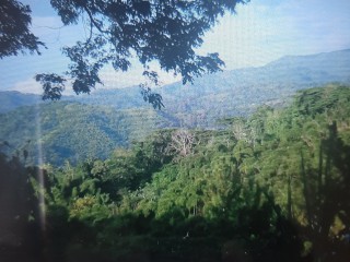 Commercial/farm land For Sale in Golden Spring MountFriendshipMount Pleasant, Kingston / St. Andrew, Jamaica