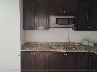 Apartment For Rent in 8 Kensington Crescent Kingston 5, Kingston / St. Andrew Jamaica | [5]