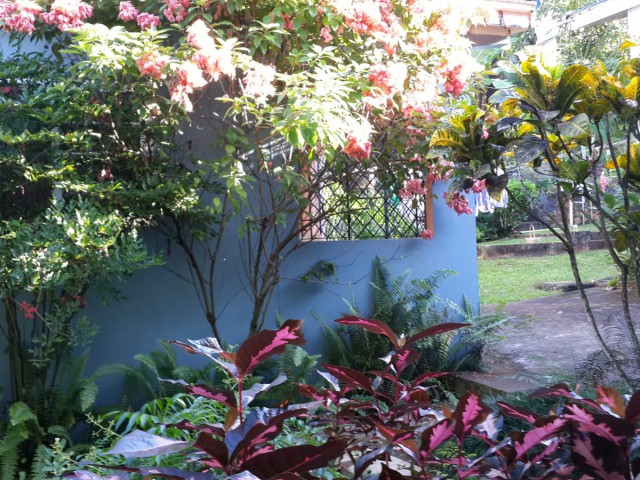 Flat For Rent in Stony Hill, Kingston / St. Andrew Jamaica | [7]