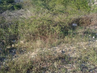 Residential lot For Sale in Johnson Hill Hellshire, St. Catherine Jamaica | [1]