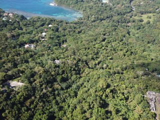 Resort/vacation property For Sale in San San, Portland Jamaica | [4]