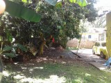 Apartment For Sale in Temple hall, Kingston / St. Andrew Jamaica | [4]