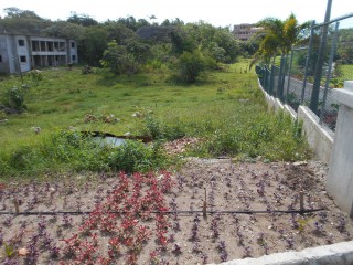 Residential lot For Sale in Godfrey Lands, Manchester Jamaica | [2]