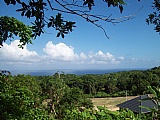 Residential lot For Sale in Beverly, St. Ann Jamaica | [3]