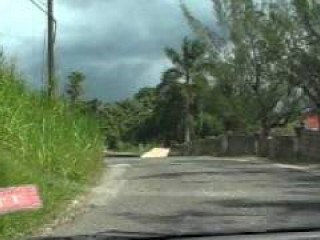 Commercial/farm land For Sale in ROSE HILL, Manchester Jamaica | [1]