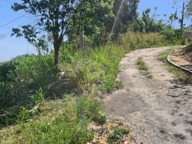 Residential lot For Sale in Red  Hills, Kingston / St. Andrew Jamaica | [8]