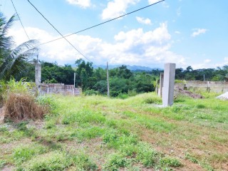 Land For Sale in Linstead, St. Catherine, Jamaica