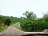 Residential lot For Sale in Tropical Sunshine Properties, Westmoreland Jamaica | [9]