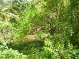 Residential lot For Sale in Moneague, St. Ann Jamaica | [1]