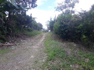 House For Sale in St Anns Bay, St. Ann Jamaica | [8]