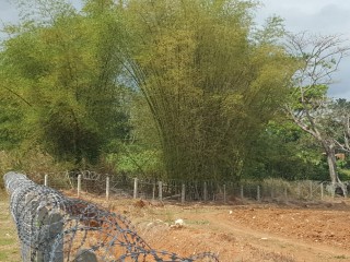 Commercial/farm land For Sale in Linstead, St. Catherine Jamaica | [4]