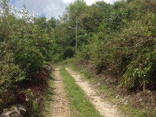 Residential lot For Sale in Mile Gully, Manchester Jamaica | [4]
