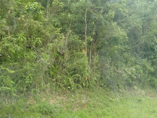 Commercial/farm land For Sale in Sligoville, St. Catherine, Jamaica