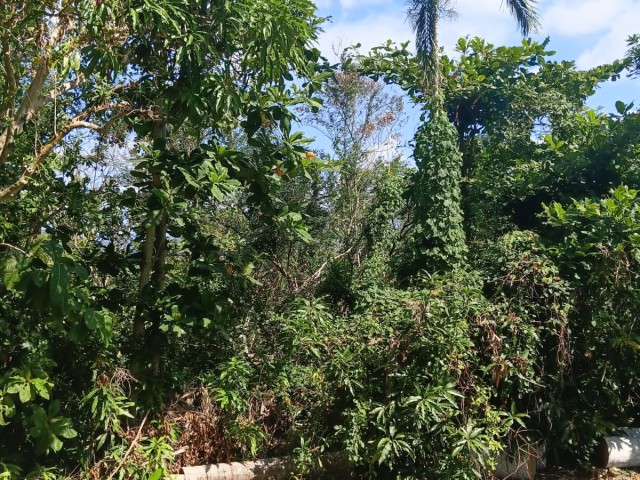 Residential lot For Sale in Great River, St. James Jamaica | [3]