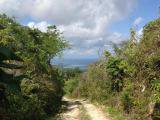 Residential lot For Sale in Norwick, Portland Jamaica | [4]