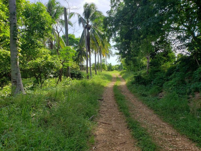 House For Sale in Cocoa Walk, St. Catherine Jamaica | [5]