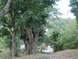 Residential lot For Sale in Maryland, Kingston / St. Andrew Jamaica | [5]