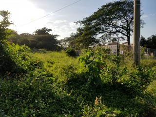 Residential lot For Sale in HUDDERSFIELD ESTATE, St. Mary Jamaica | [5]