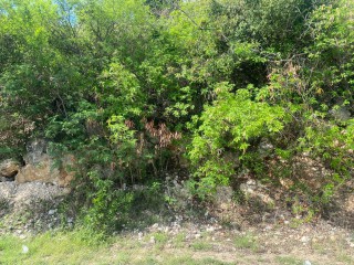 Residential lot For Sale in Bull Bay, Kingston / St. Andrew Jamaica | [1]