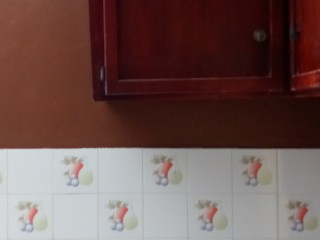 Flat For Rent in Rose Hall Montego Bay, St. James Jamaica | [4]