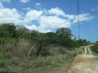 Residential lot For Sale in GREENSIDE, Trelawny Jamaica | [1]