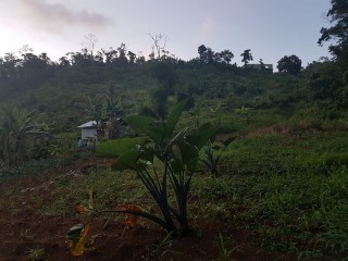 Residential lot For Sale in Red Hills, Kingston / St. Andrew Jamaica | [3]