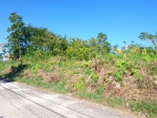 Residential lot For Sale in Bybrook, St. Elizabeth Jamaica | [4]