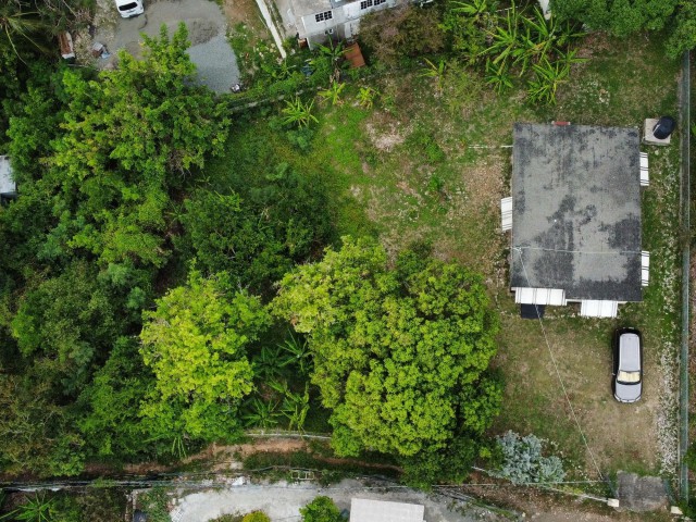 House For Sale in WHITE HORSES, St. Thomas Jamaica | [13]