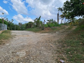 Commercial/farm land For Sale in Bog Walk, St. Catherine, Jamaica