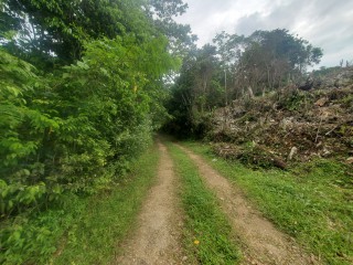 Residential lot For Sale in Coopers Hill, Kingston / St. Andrew, Jamaica