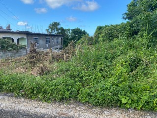 Residential lot For Sale in Industry Pen, St. Mary, Jamaica